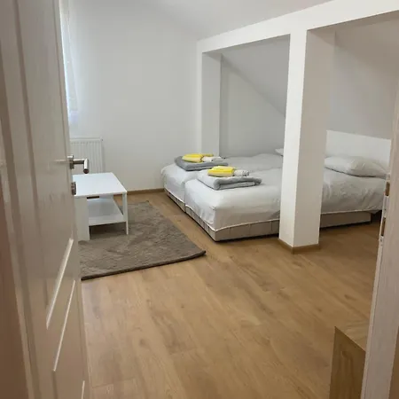 Eli * Novi Sad